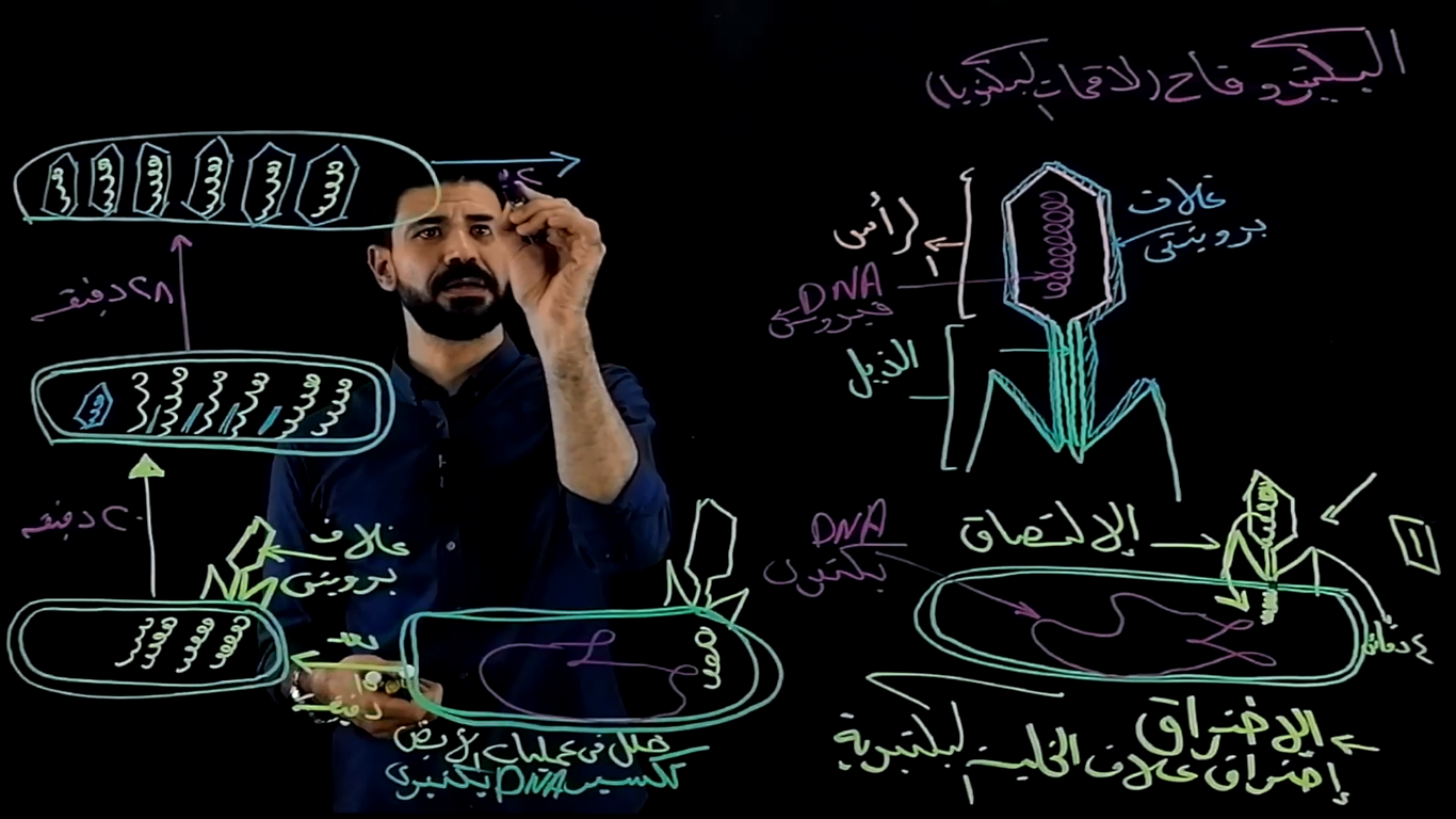 اثبات ان DNA المادة الوراثية